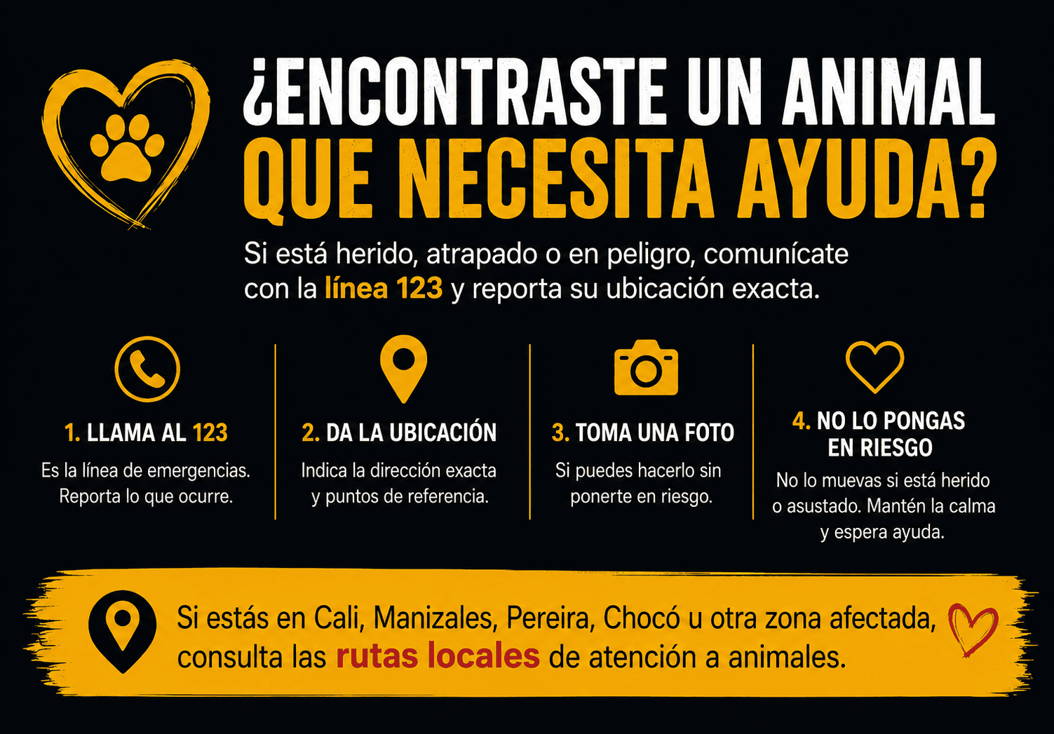 info reporte animales calle